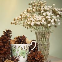 Victoria Andrews Photo 20