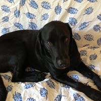 Beth Mccarthy Photo 34