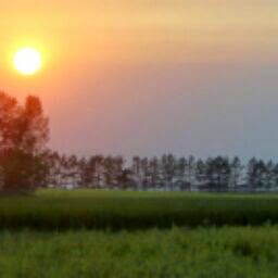 Keith Krueger Photo 7 Keith Krueger Photo 7