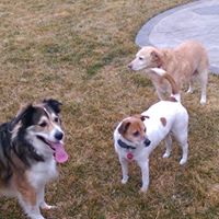 Alexandra Stevens Photo 25