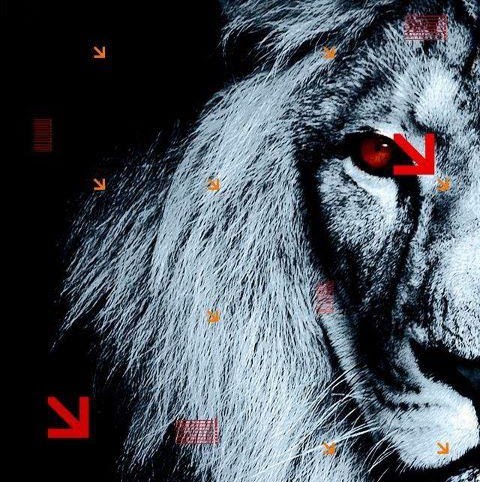 Alexander Sweet Photo 21