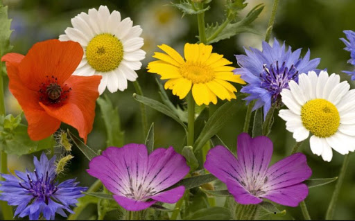 April Jensen Photo 12