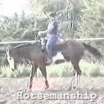 Michelle Gilliland Photo 18