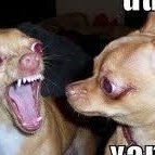 Michelle Barger Photo 11