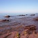 Mark Steger Photo 16