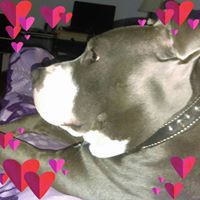 Sheila Ellis Photo 26 Sheila Ellis Photo 26