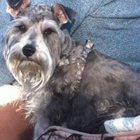 Joyce Ingram Photo 33