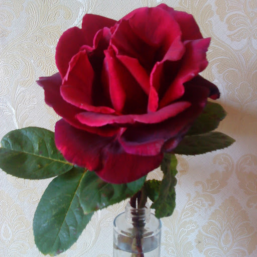 Annette Walton Photo 10