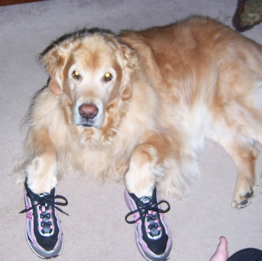 Ed Dougherty Photo 35