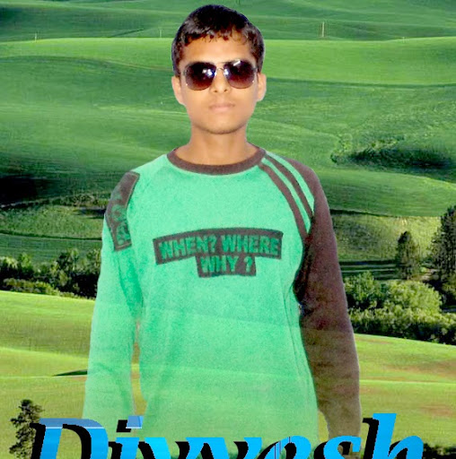 Divyeshkumar Patel Photo 6