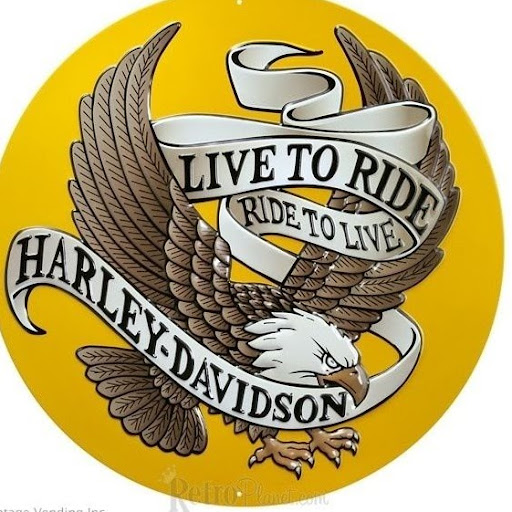 Martha Perkins Photo 21