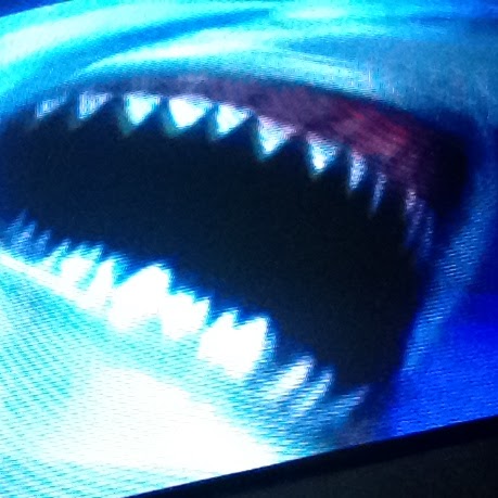 Robin Miner Photo 24