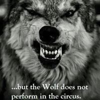 Anthony Lambert Photo 20