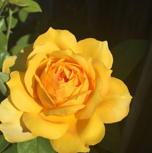 Rebecca Bishop Photo 17