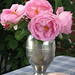 Constance Rose Photo 15