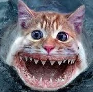 Paul Fuller Photo 22