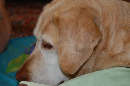 Gene Swanson Photo 8