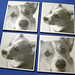Connie Link Photo 21