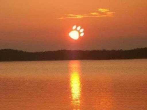 Walter Brown Photo 19