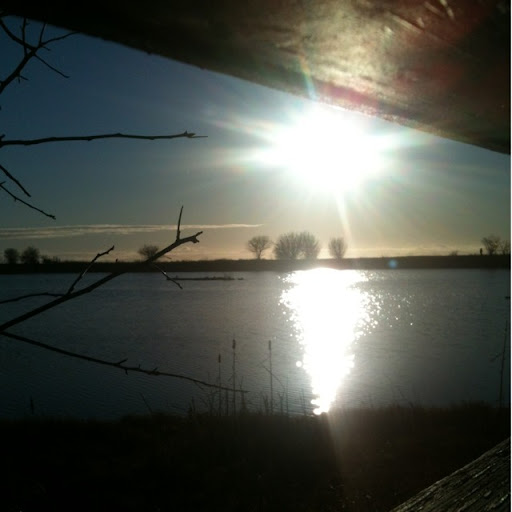 Renee Davies Photo 25