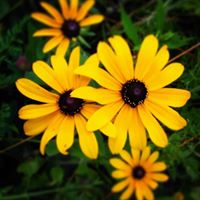 Kathy Slater Photo 31