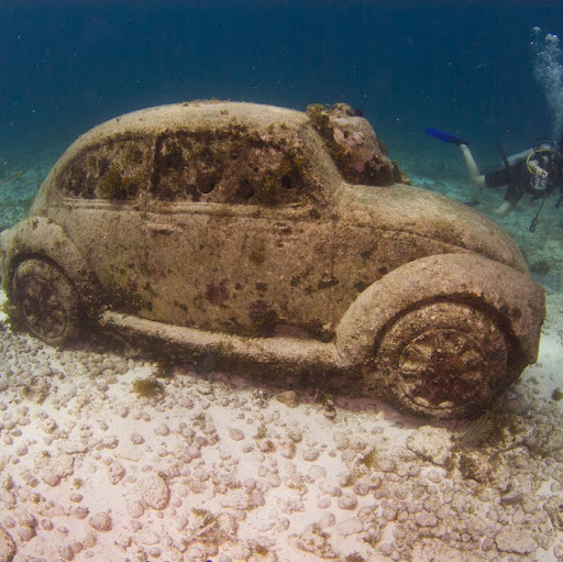 Stephen Strout Photo 16