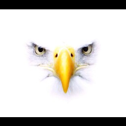 Terry Schulz Photo 30