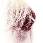 Michael Redding Photo 3