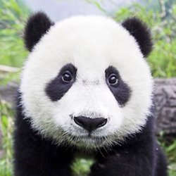 Tracy Strachan Photo 11