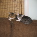 Wendy Bean Photo 7