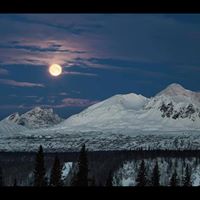 Tammy Rogers Photo 6