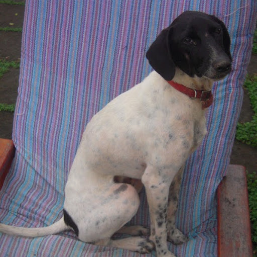 Jeremy Simons Photo 33