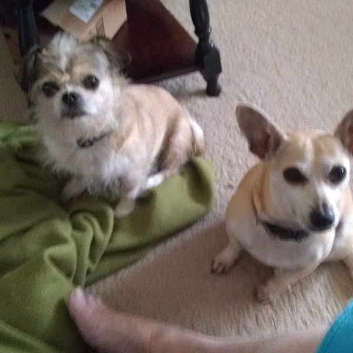 Pamela Lucas Photo 24