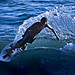 Danny Diaz Photo 3