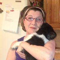Debbie Holt Photo 40