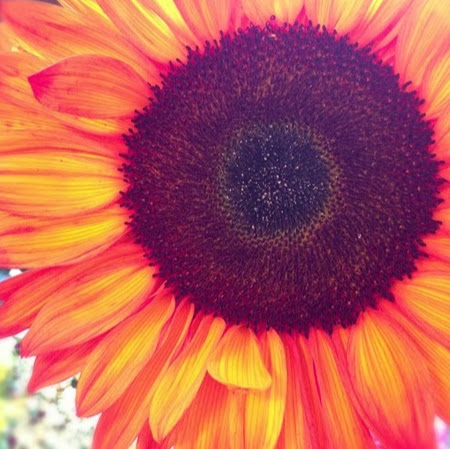 Claudia Gonzalez Photo 24