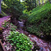 Nancy Kirkland Photo 21