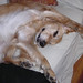 Cheryl Bailey Photo 41
