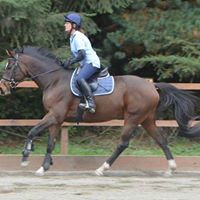 Lisa Clevenger Photo 23