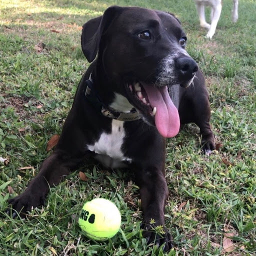 Paul Tucker Photo 12