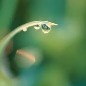 Shannon Tran Photo 9