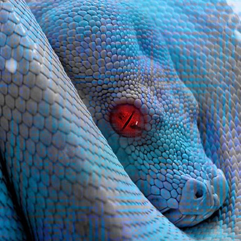 Kelly Michael Photo 7