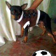 Daniel Perez Photo 25