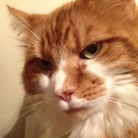 Lisa Mathews Photo 20