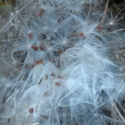 Jeff Booker Photo 28