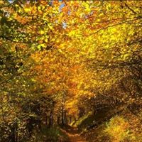 Jackie Austin Photo 20