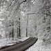 Terri Robertson Photo 46