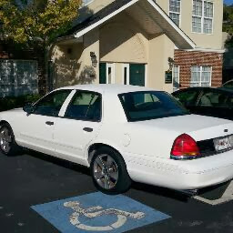 Michael Rice Photo 46 Michael Rice Photo 46