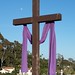 Barbara Cross Photo 26