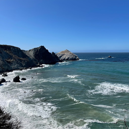 Christine Roark Photo 4